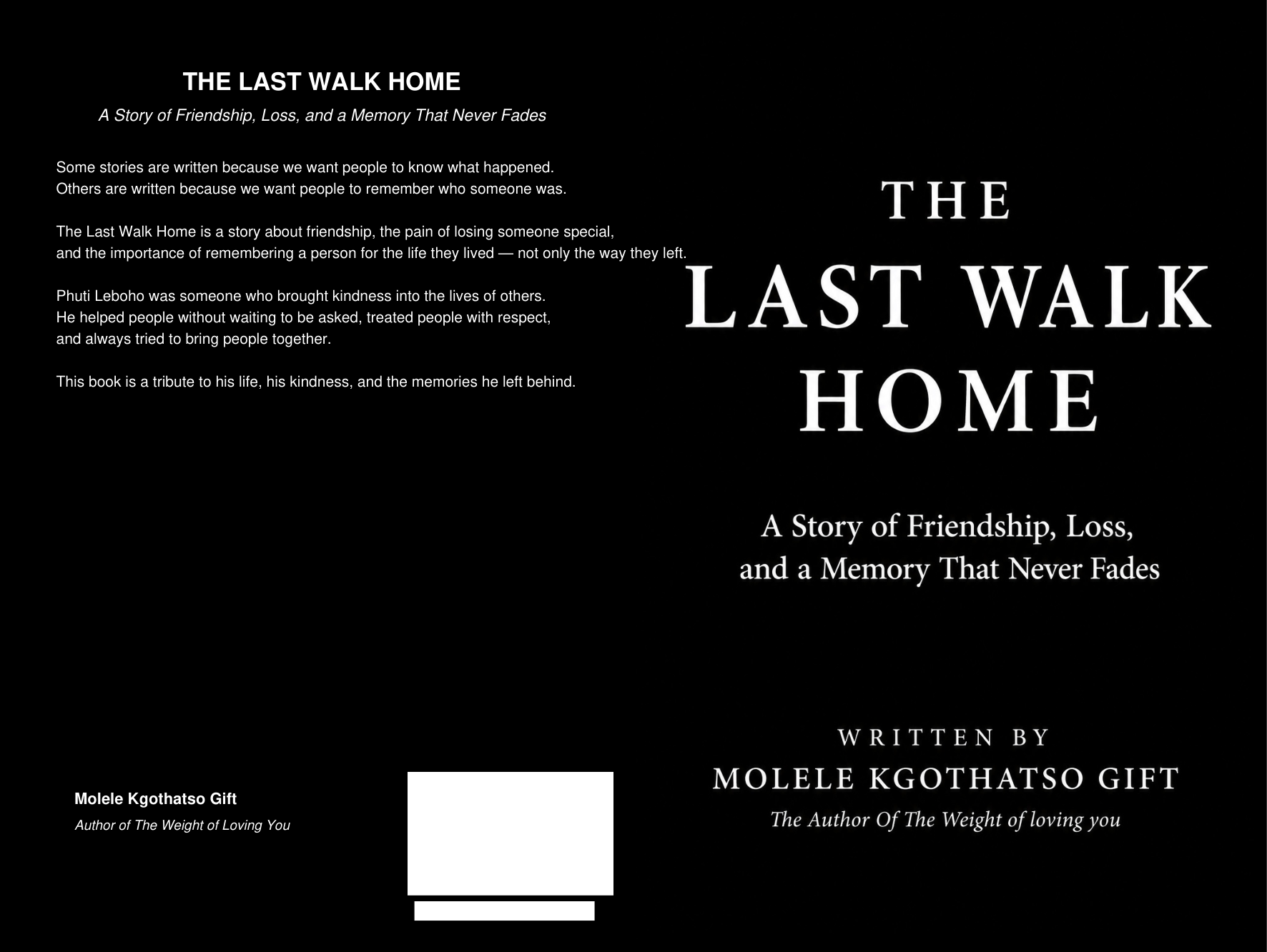 The Last Walk Home book cover